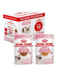 Влажный корм для котят Kitten соус и желе мультипак 10шт по 85 г Royal canin