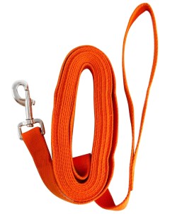 Поводок для собак брезентовый оранжевый 500x2 5 см Зооник
