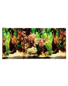 Фон для аквариума Кораллы 30 см рулон 25 м Nobrand