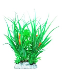 Растение аквариумное Хедизариум зеленый с бутонами 24 см Уют