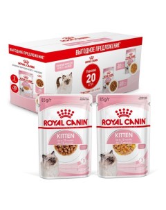 Влажный корм для котят Kitten соус и желе мультипак 20шт по 85 г Royal canin
