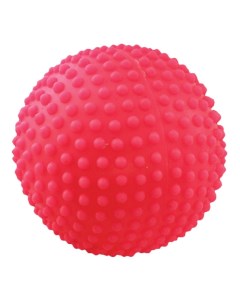 Жевательная игрушка для собак Мяч игольчатый 4 в ассортименте 10 3 см Зооник