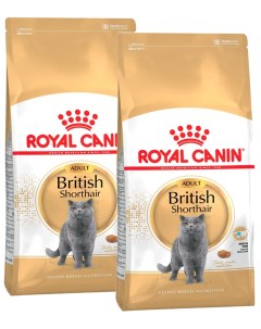 Сухой корм для кошек British Shorthair Adult для британских 2 шт по 2 кг Royal canin