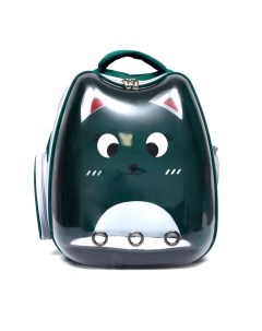 Рюкзак для переноски животных Котик прозрачный 34 х 25 х 40 см зелёный Пижон