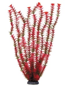 Искусственное растение для аквариума Амбулия красная 50 см пластик Laguna
