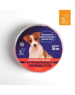 Ошейник для собак с адресником 30х1 см капрон цвет красный Пушистое счастье