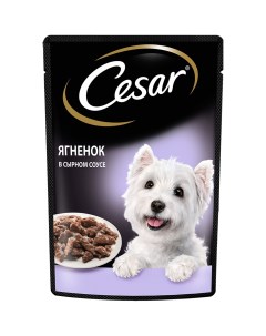 Влажный корм для собак Ягненок в сырном соусе 85г Cesar