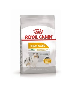 Сухой корм для собак Mini Coat Care с тусклой и сухой шерстью 1 кг Royal canin