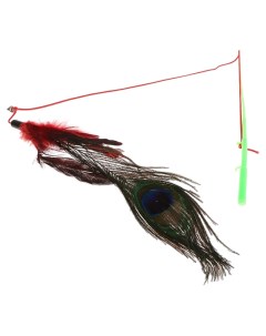 Дразнилка с пером павлина и бубенчиком длинные перья 32 см микс цветов Пижон