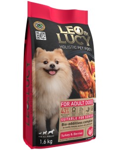 Сухой корм для пожилых собак холистик с индейкой ягодами и биодобавками 1 6кг Leo&lucy