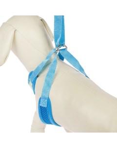 Шлейка для собак дышащая светоотражающая размер S голубая Пижон