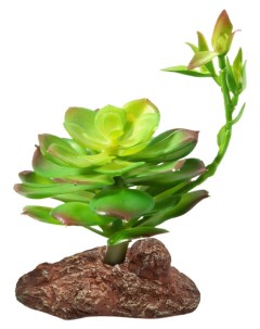 Искусственное растение для террариума Эониум 160 мм Laguna terra