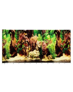 Фон для аквариума Кораллы 30 см рулон 25 м Nobrand