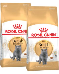 Сухой корм для кошек BRITISH SHORTHAIR ADULT для британских 2шт по 0 4кг Royal canin