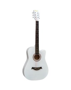 Акустическая гитара HS 3914 WH Prado