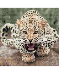 Алмазная мозаика Леопард Molly