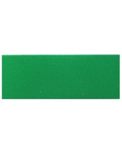 Эластичная лента пояс цвет 02 зеленый 38 мм x 10 м цвет 9574 Prym