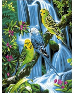 Картина по номерам Попугаи 30x40 см Paintboy