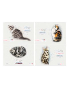 Альбом для рисования Акварельные котики на скрепке А4 24 листов в ассортименте Bg