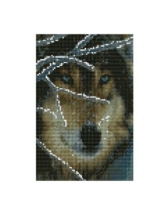 Алмазная мозаика Взгляд волка 22x32 см с подрамником с полным заполнением Рыжий кот