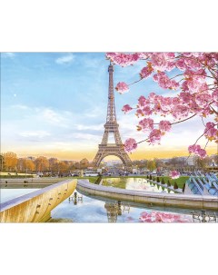 Алмазная мозаика Цветущий Париж полн выкладка 40х50 см круглые непрозр стразы Цветной