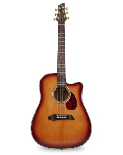 Акустическая гитара NG DM411SC Peach санберст чехол в комплекте National geographic