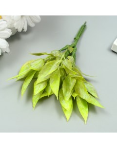 Искусственное растение для творчества Рукус 1 букет 6 веточек зелёный 13 см 10 шт Nobrand