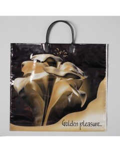 Пакет Золотой цветок полиэтиленовый с пластиковой ручкой 38 х 35 см 110 мкм 10 шт Artplast