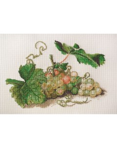 Набор для вышивания Ветка винограда по рисунку Ф Толстого Марья искусница