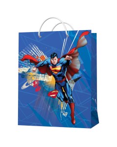 Подарочный пакет Superman Nd play