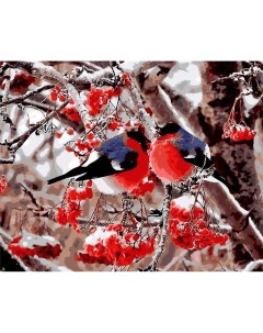 Картина по номерам GX8859 Снегири на веточке рябины 40x50 см Цветной