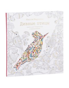 Раскраска Дивные птицы Книга для творчества и вдохновения Колибри