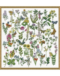 Набор для вышивания Красота Ботаники 3424 Design works