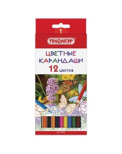 Карандаши цветные БАБОЧКИ 12 цветов классические заточенные 181351 Пифагор