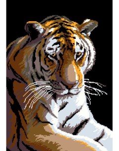 Набор для вышивания Тигр 2076 48х33 см Nitex