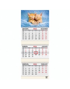 Календарь квартальный на 2024г 3 блока 3 гребня с бегунком мел бум Cute kittens B Brauberg