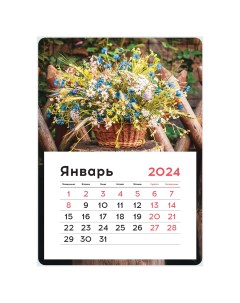 Календарь отрывной на магните 130 180мм склейка Mono Мeadow flowers 2024г Officespace