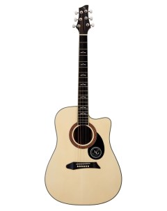 Акустическая гитара NG GT600 NA National geographic