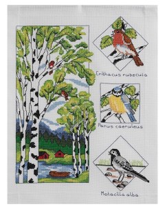 Набор для вышивания 9240000 02107 Birch and Birds 35x45см Anchor