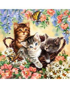 Картина по номерам 3 котенка Роспись по холсту 40х50 см BFB1330 с 8 лет Supertoys