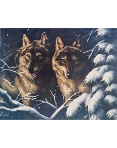 Картина по номерам Волки в зимнем лесу холст на подрамнике 40х50 см GX39993 Paintboy