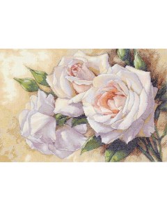 Набор для вышивания Белые розы 123642 Dimensions