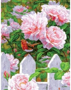 Картина по номерам Розы в моем саду 40x50 см Paintboy