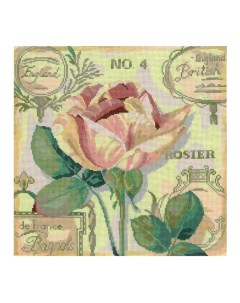 Набор для вышивания мулине Английская роза 25х25 см арт 0107 Нитекс