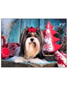 Алмазная мозаика Новогодний щенок блестящая с полным заполнением 22х32 см Рыжий кот
