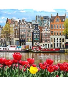 Алмазная мозаика Нидерланды Рыжий кот