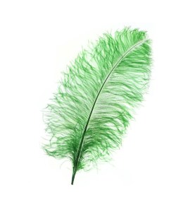 Перо для декора длина от 45 до 60 см цвет зелёный Nobrand