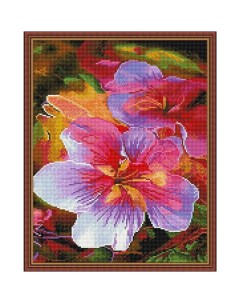 Алмазная мозаика с нанесенной рамкой Яркие цветы 32 цвета 40х50 см Molly