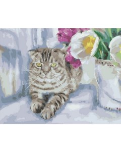 Картина по номерам Котик и тюльпаны МСА1678 Paintboy
