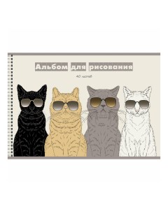Альбом для рисования Команда котов офсетная бумага А4 40 листов серый Listoff